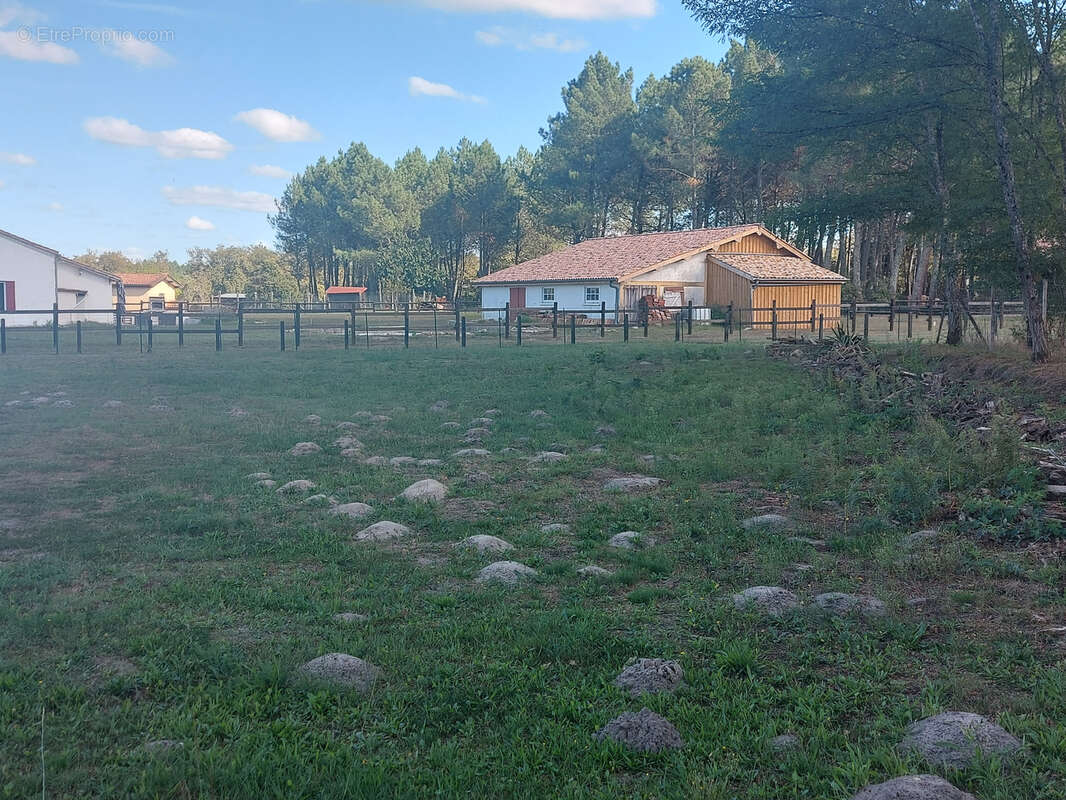 Terrain à BAZAS