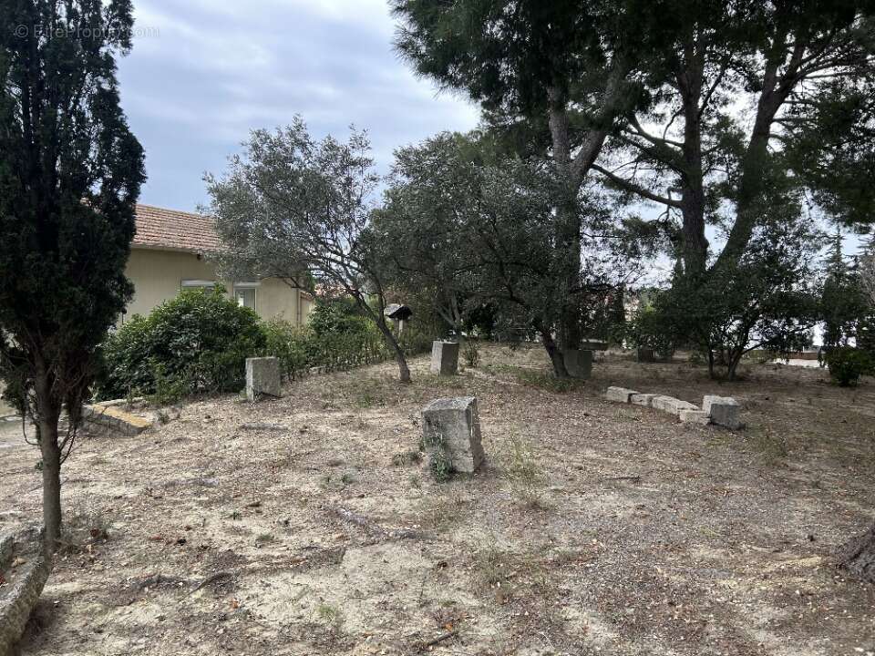 Terrain à BOUZIGUES