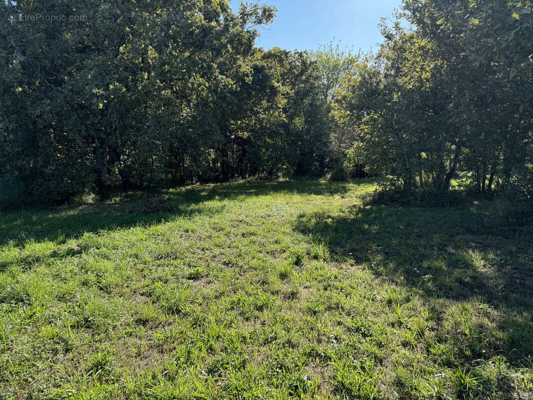 Terrain à CASTELJALOUX