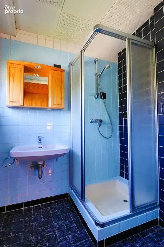 Maison de 183 m², sur 11,34 ares, à Ingersheim - photo 22
