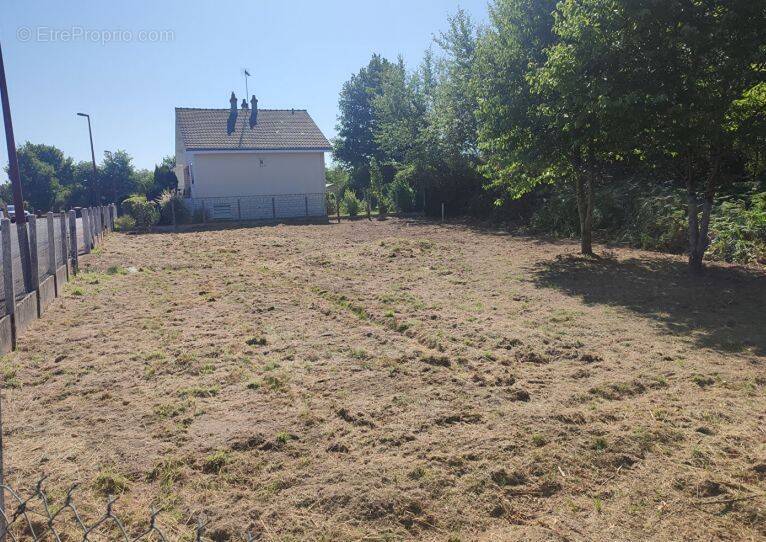 Terrain à NOUAN-LE-FUZELIER