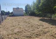 Terrain à NOUAN-LE-FUZELIER