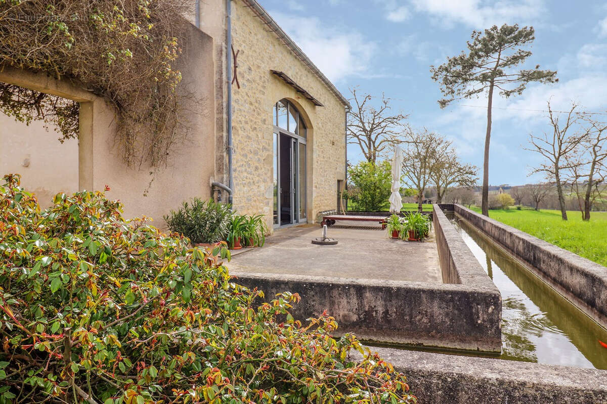 Paradis caché au milieu des vignes - photo 8