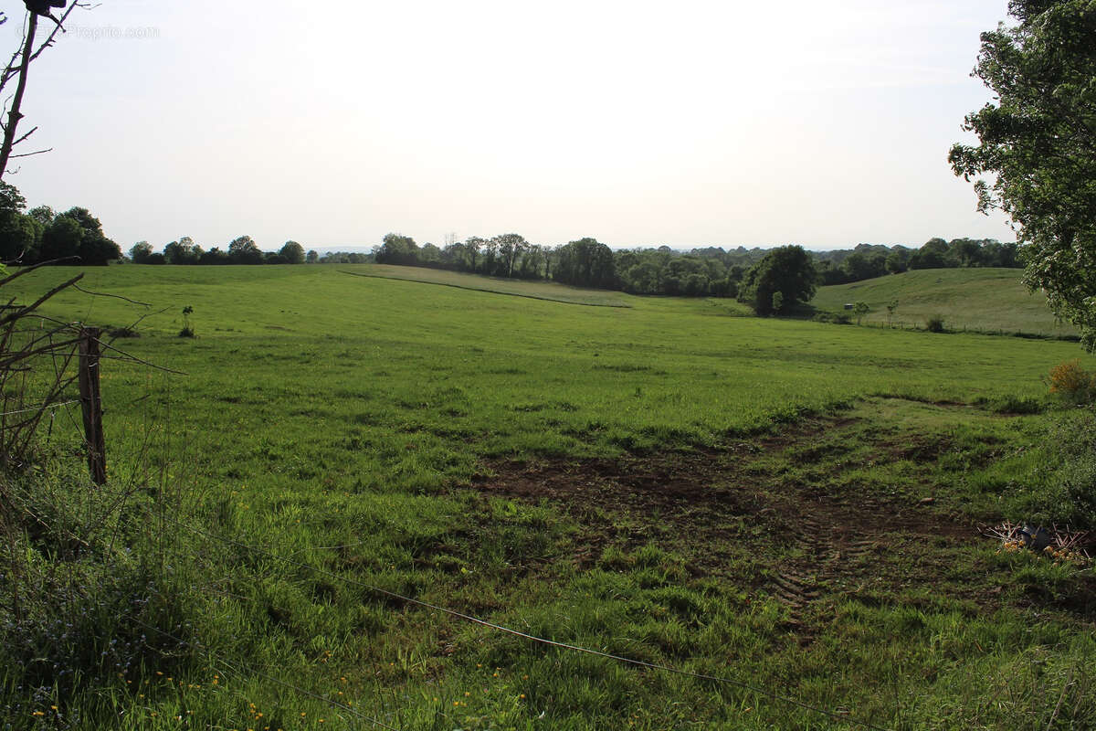 Maison à ANGLARDS-DE-SALERS