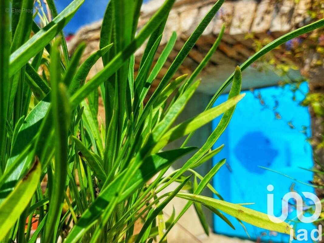 Photo 9 - Maison à BEAUNE