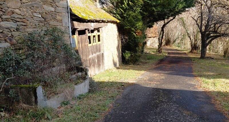 Maison à VIEILLEVIE