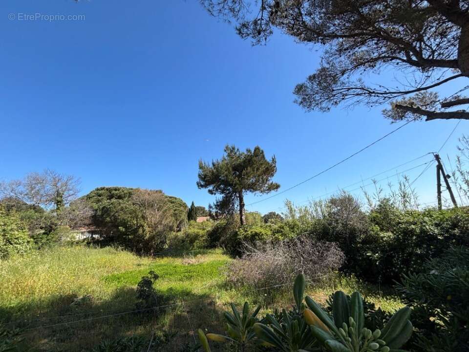 Terrain 880 m² à Hyeres  - photo 4
