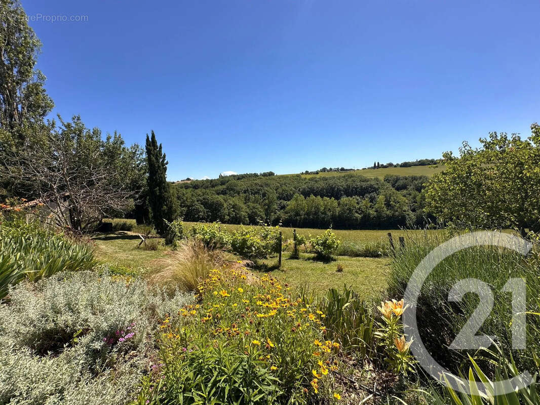 Maison à MONTGAILLARD