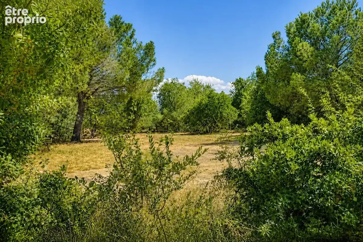 Maison de 14 pièces de 740 m² à Perpignan - photo 41