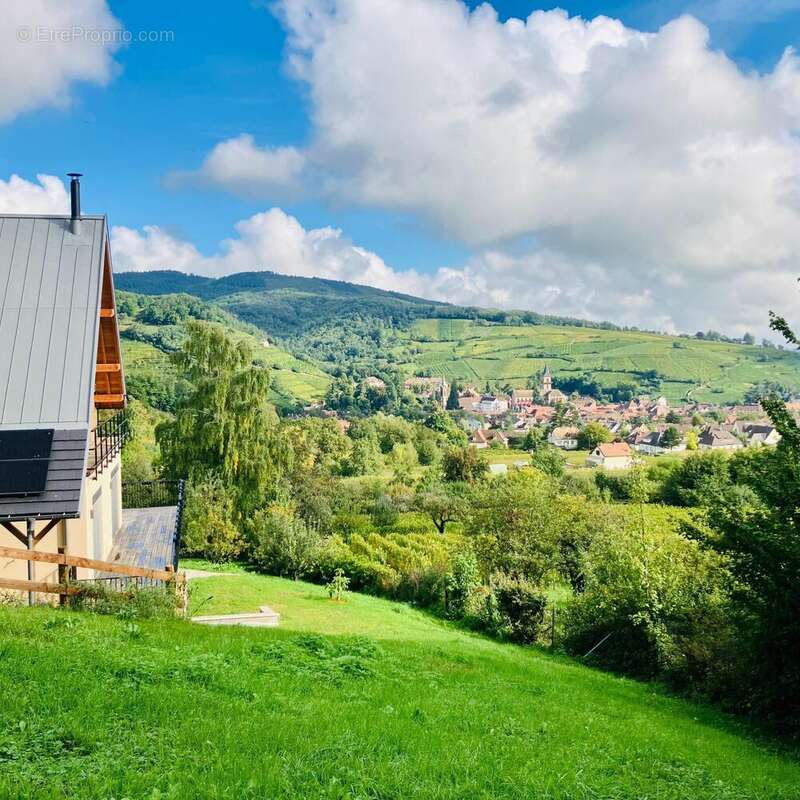 Photo 5 - Maison à RIBEAUVILLE