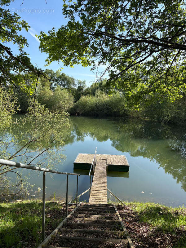 ETANG DE 2 HA  Proche Chateau la Vallière - photo 4