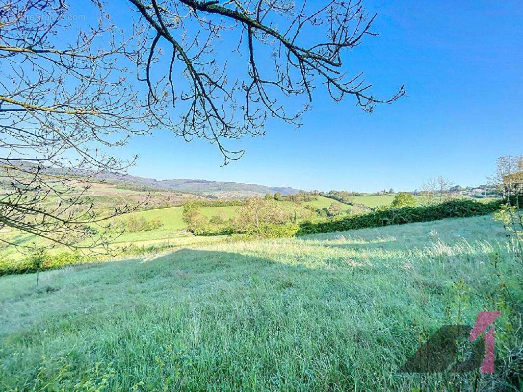 Terrain à BERZE-LA-VILLE