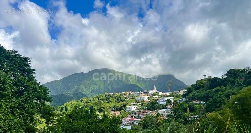 Maison à LE MORNE-VERT