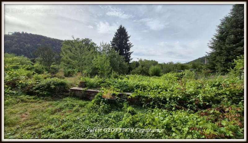 Maison à vendre 8 pièces CELLES SUR PLAINE (88) - photo 12