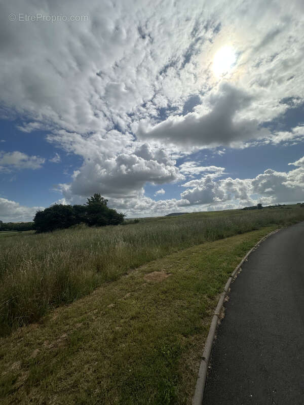 Terrain à CHATEAU-SALINS