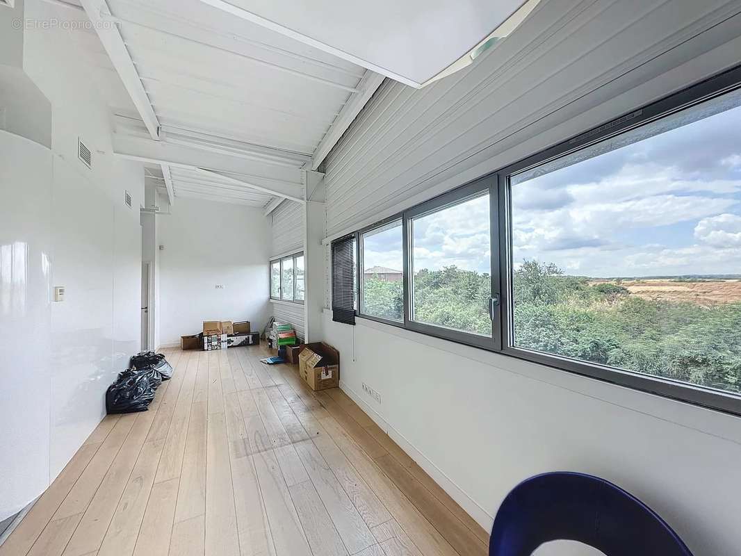 Commerce à COLOMIERS