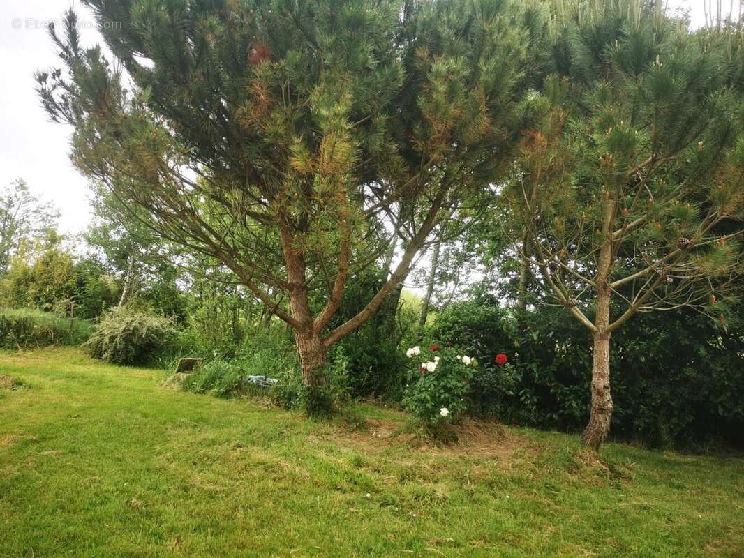 Terrain à TALMONT-SAINT-HILAIRE