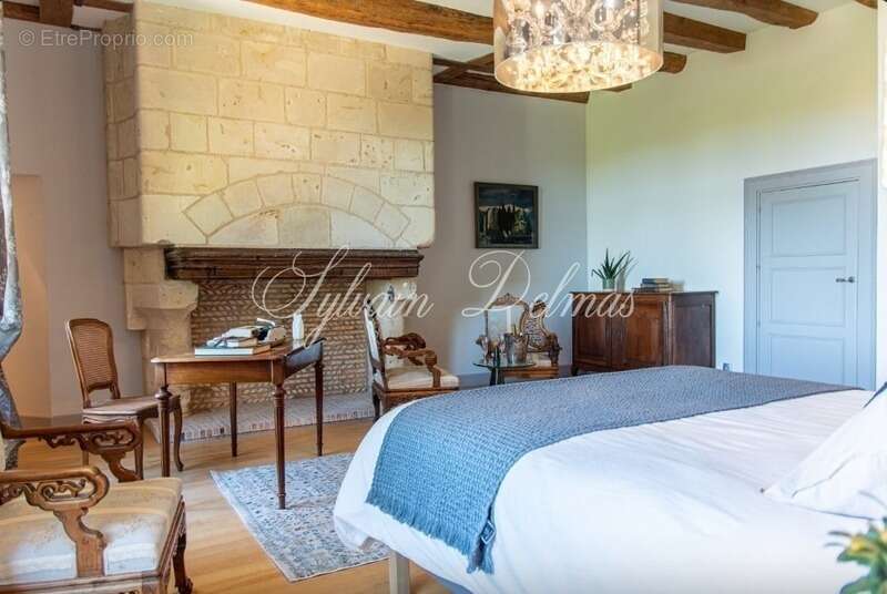 Propriete à vendre 18 pièces proche de TOURS (37) - photo 19