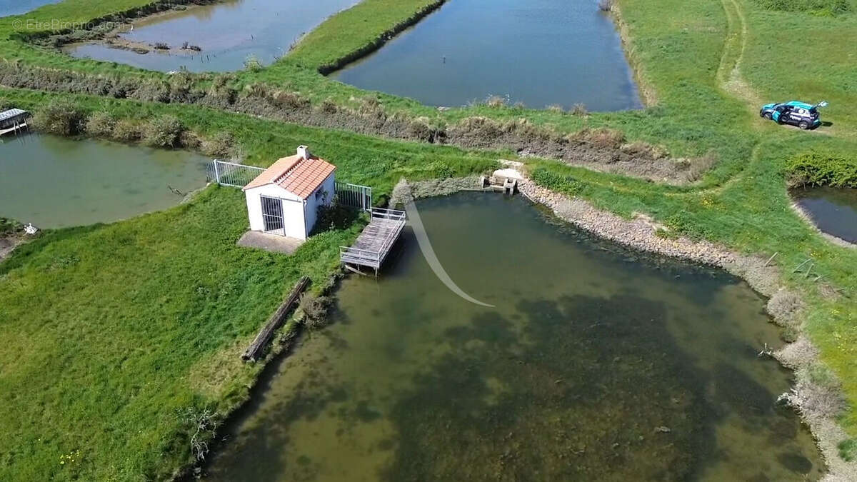 Terrain de loisir à poissons de plus de 2 hectares - photo 2