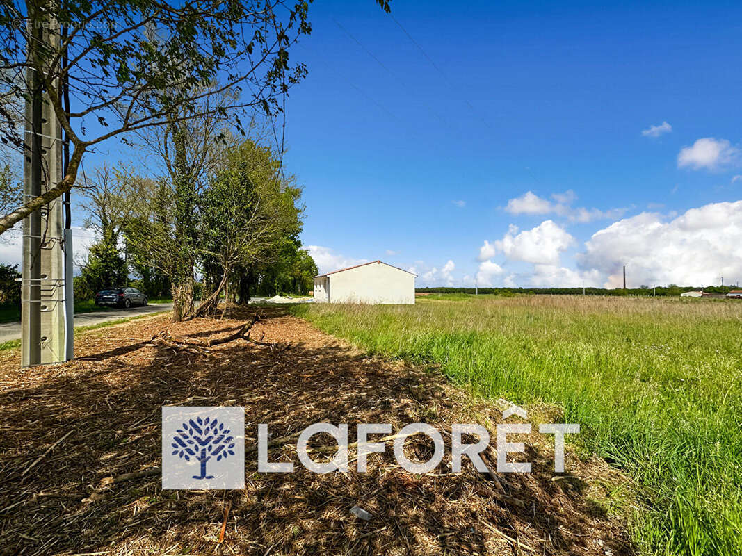 Terrain à SAINT-QUANTIN-DE-RANCANNE