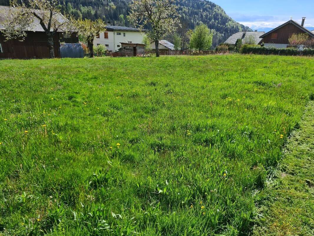 Terrain à BONVILLARD