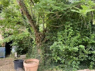 Maison à GIRONDE-SUR-DROPT