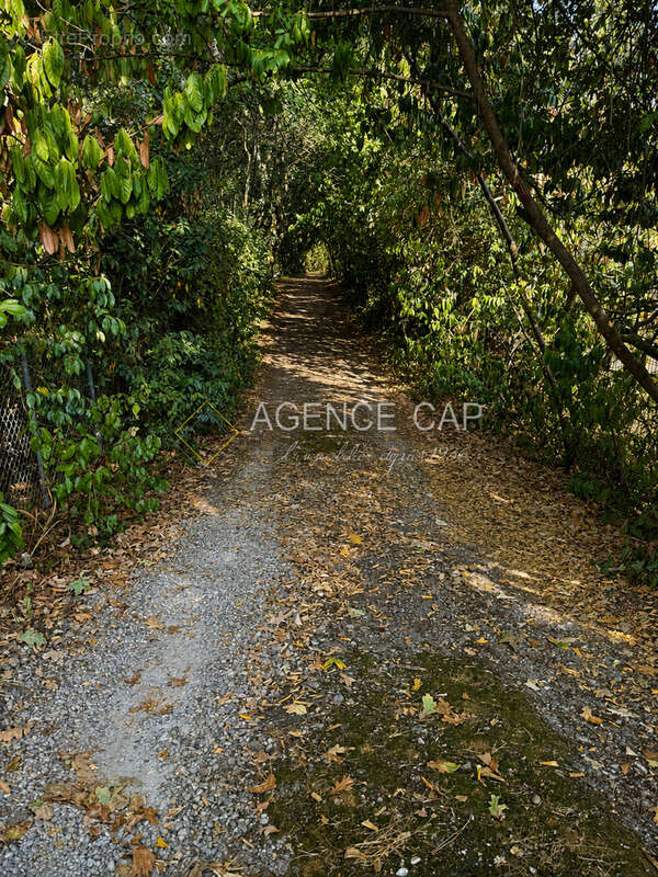 Terrain plage et moulleau a pied - photo 5