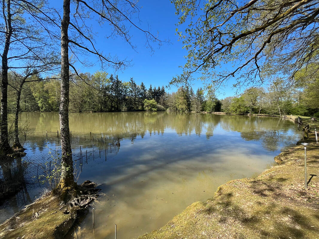 Terrain à VILLEGENON