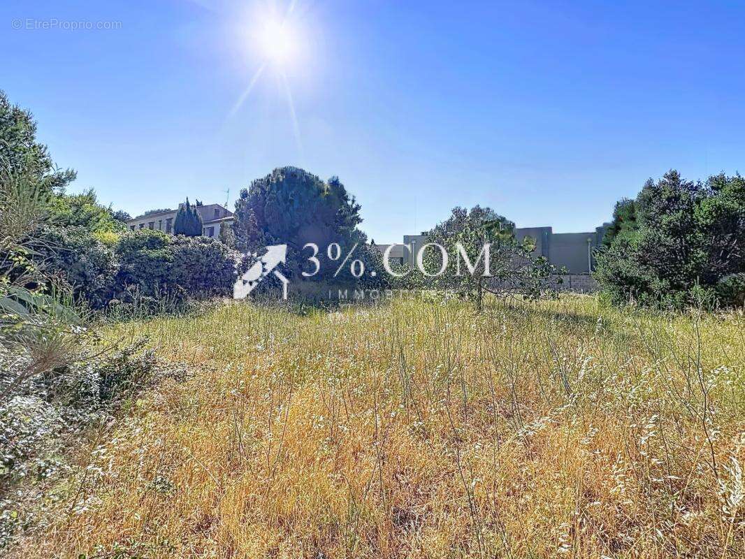 Opportunité foncière stratégique de 2 958 m2 entièrement con - photo 2