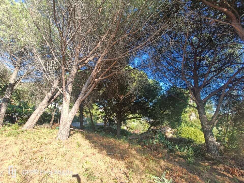 Terrain à ROQUEBRUNE-SUR-ARGENS