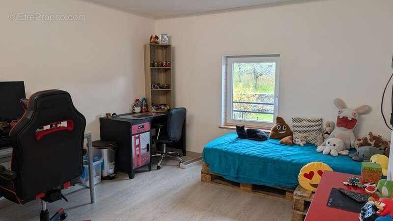 Maison à L&#039;ISLE-SUR-SEREIN