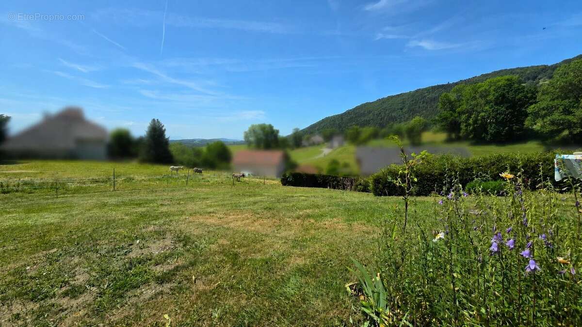 Terrain à VOVRAY-EN-BORNES