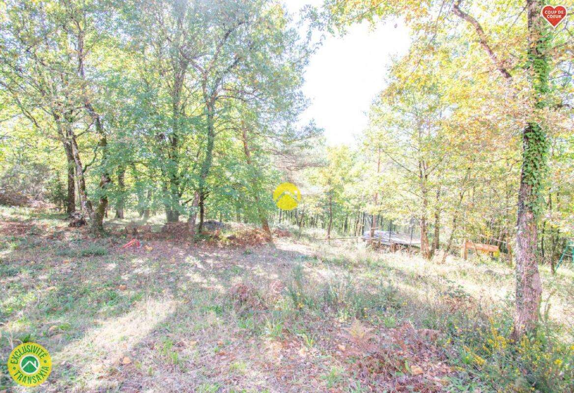 Maison à LE BUISSON-DE-CADOUIN