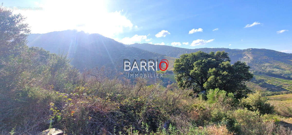 Terrain à COLLIOURE