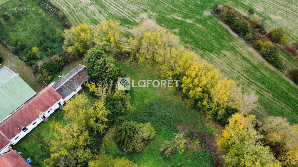 Commerce à LAMBRES-LEZ-DOUAI