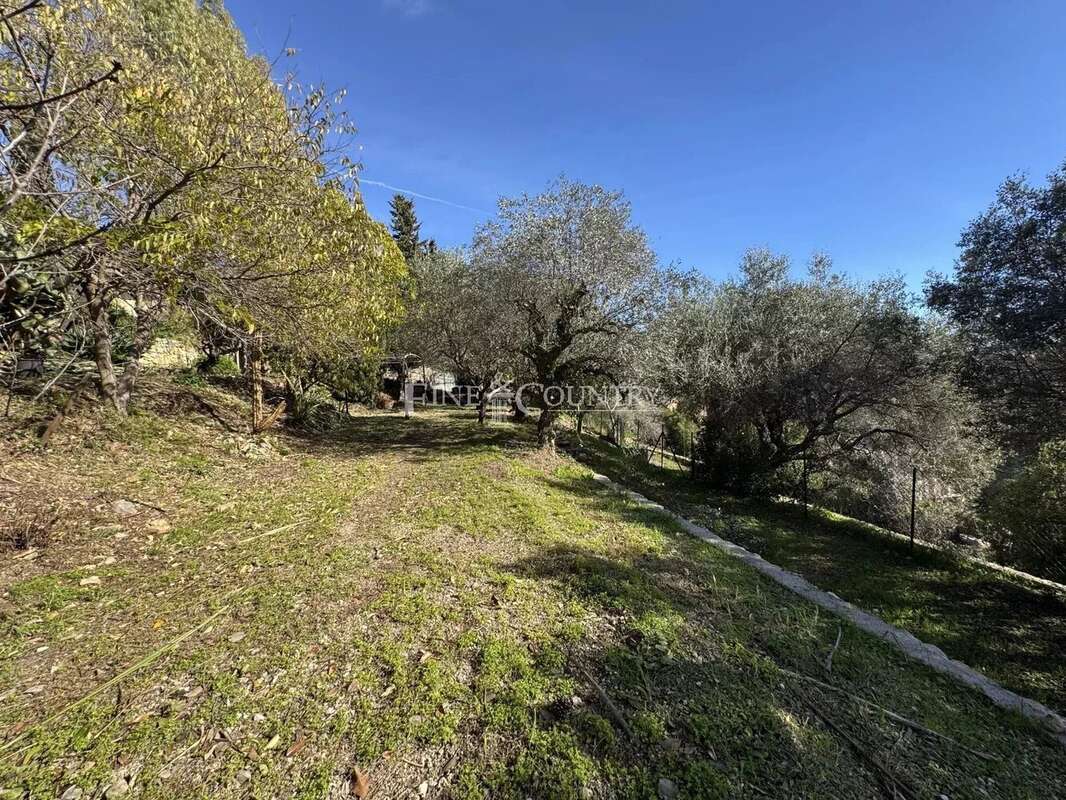 Terrain à VALLAURIS
