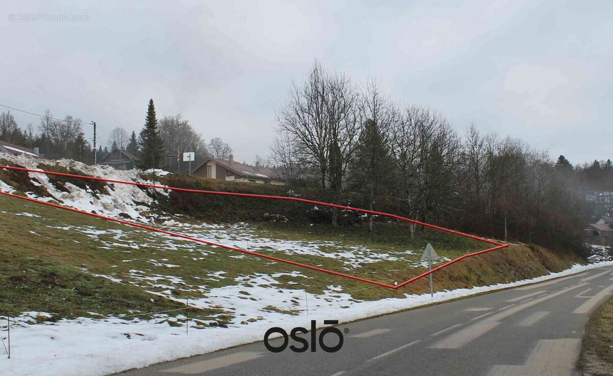 vue depuis le bas du terrain - Terrain à MORBIER