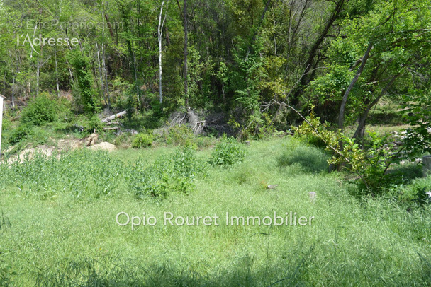 Terrain à SAINT-PAUL