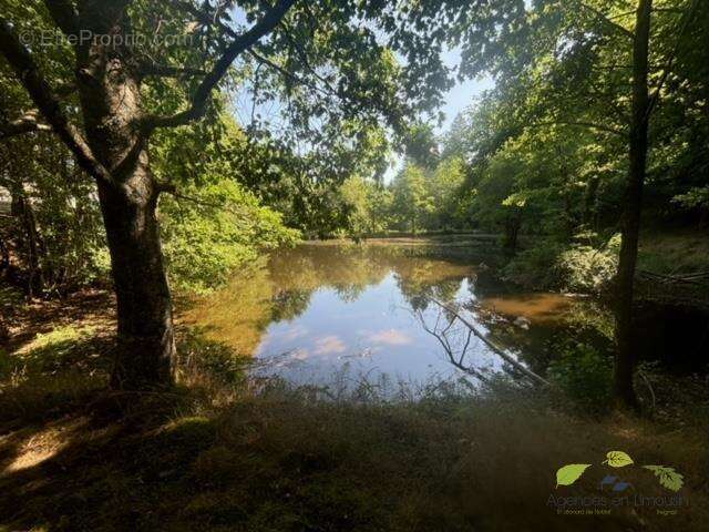 Haute vienne - photo 13