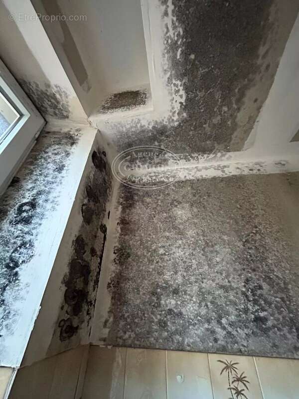 Immeuble de rapport 5 lots - photo 32