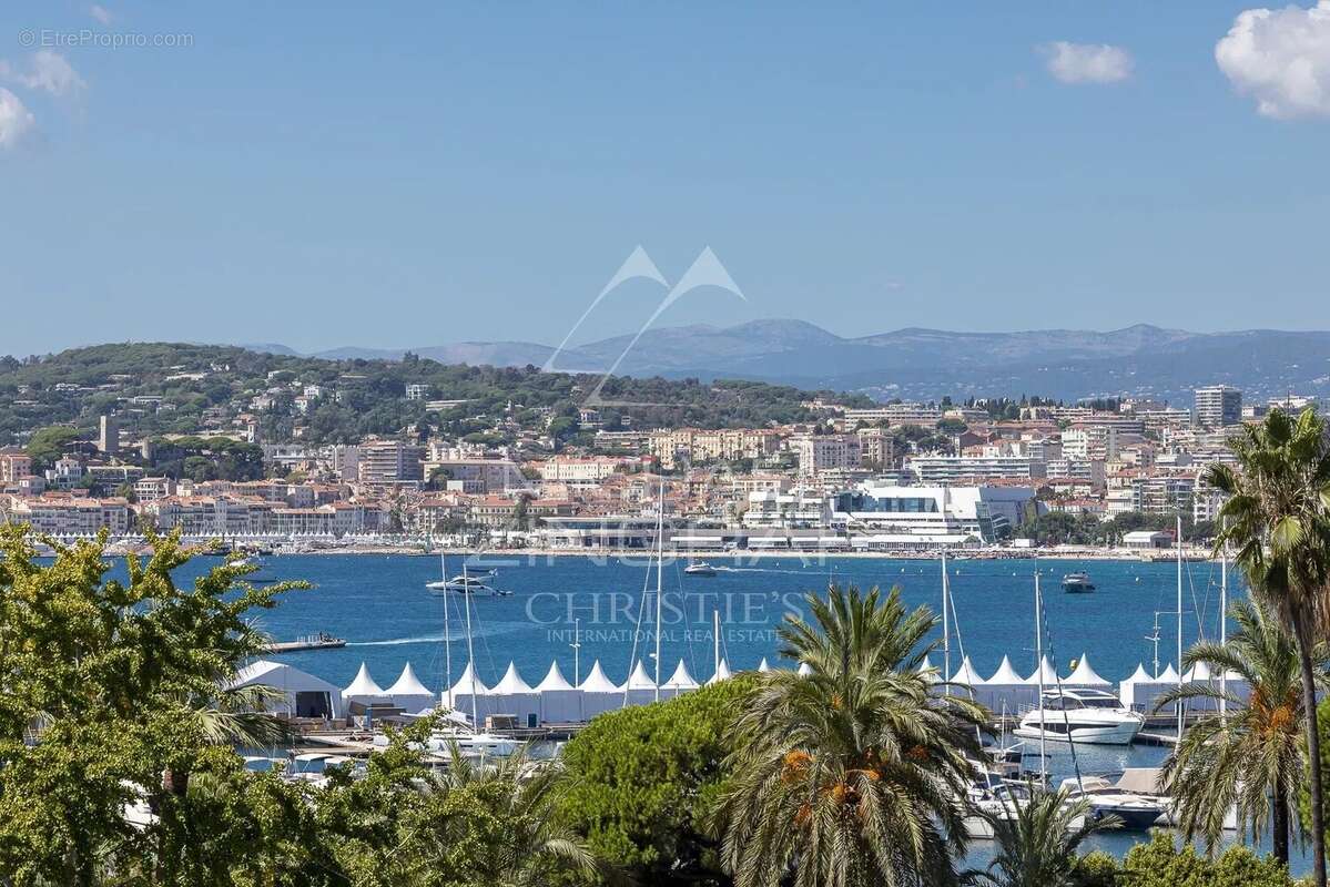 Cannes Croisette - Appartement 3 pièces vue mer exceptionnelle - photo 3