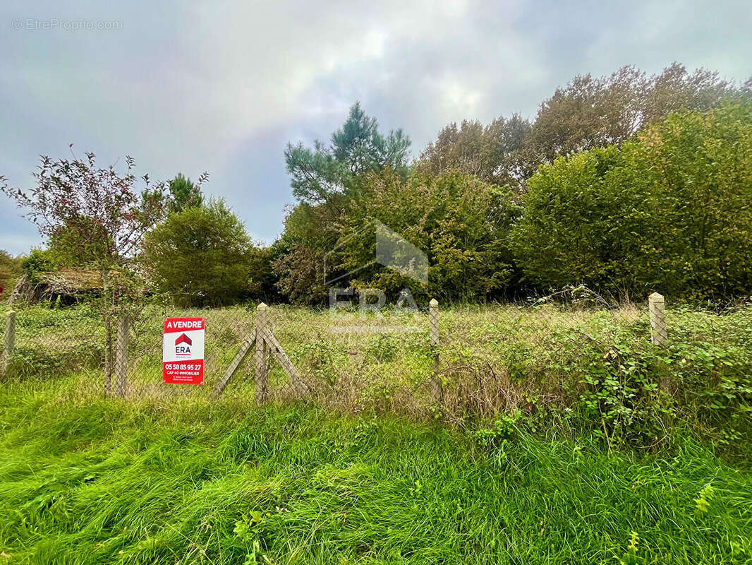 Terrain à MONT-DE-MARSAN