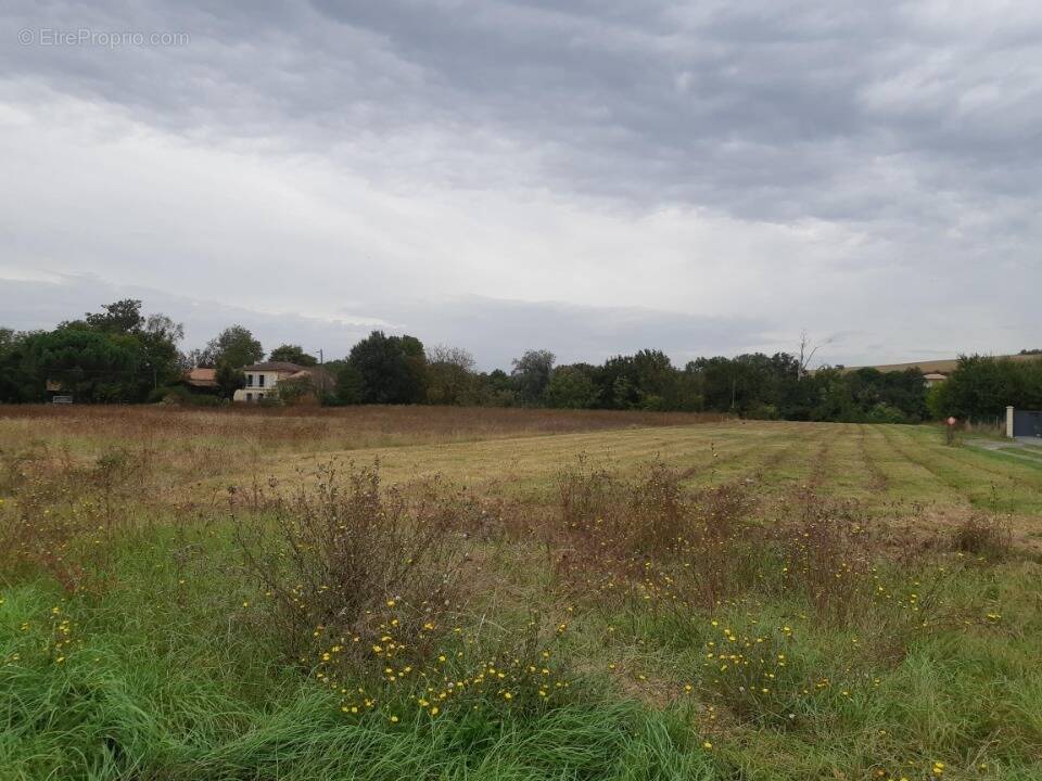 Terrain à MONTJOIRE
