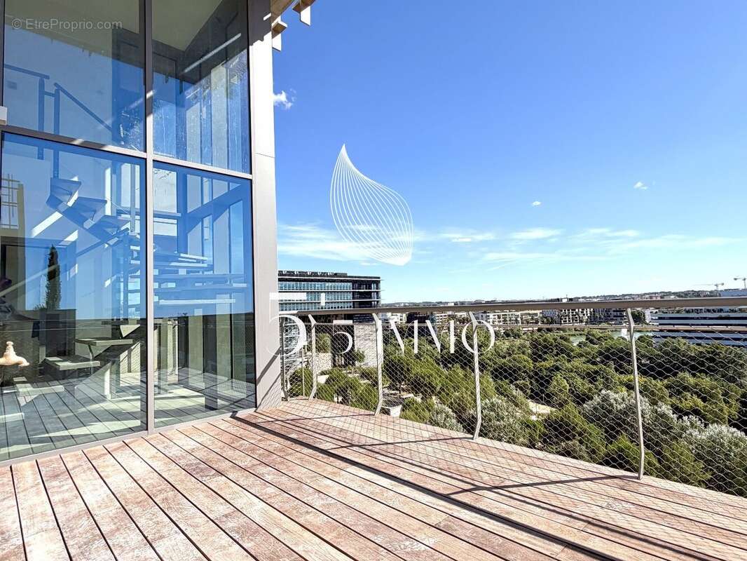 Magnifique duplex / port marianne - photo 15
