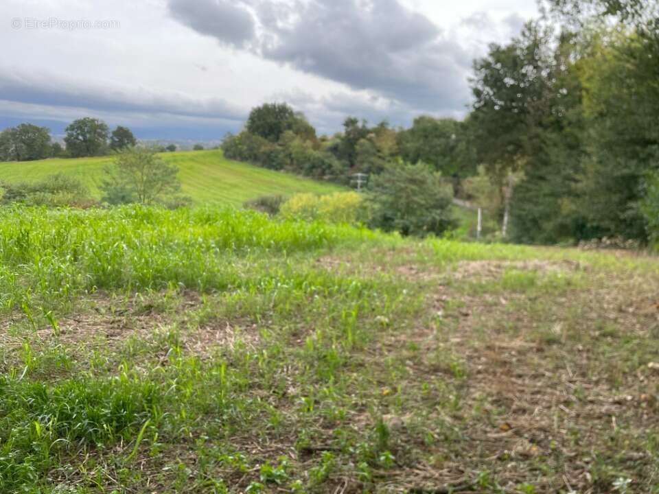 Terrain 1288 m² à Saint-Affrique-Les-Montagnes  - photo 2