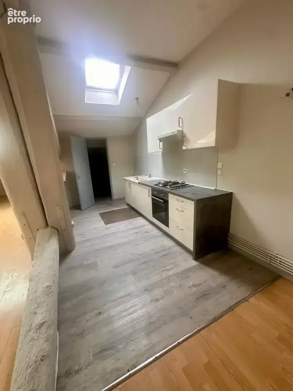 Appartement  4 pièces  - 93 M² - Quai PAJOT  - Vienne - photo 3