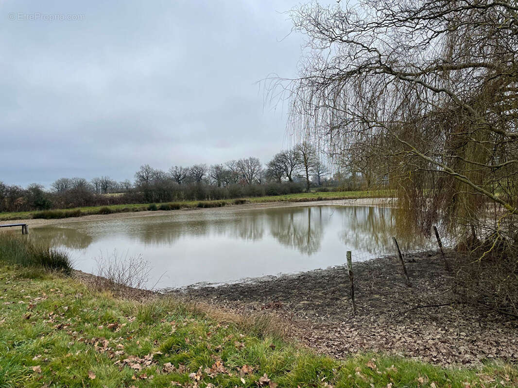 Terrain + etang plaisance - photo 4