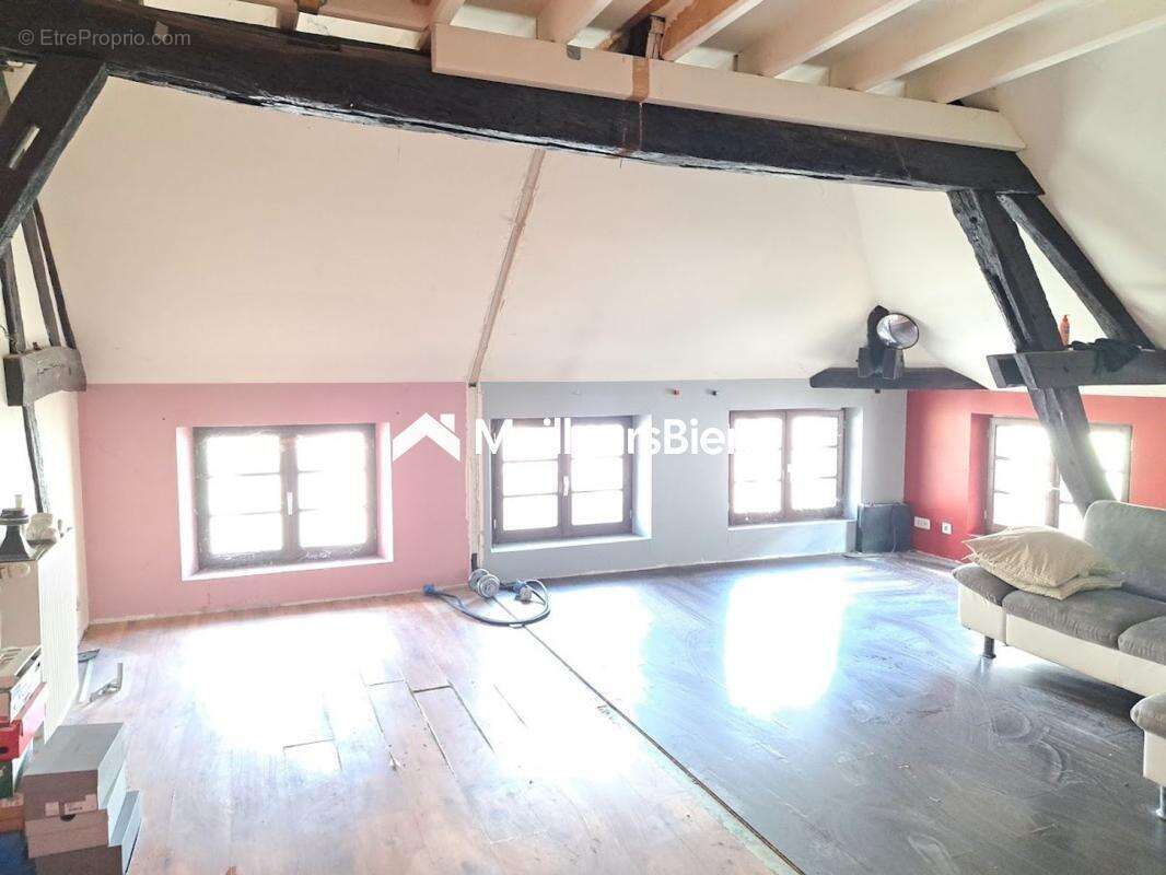 Triplex d'habitation avec  grande terrasse, divisible en lots distincts - photo 13