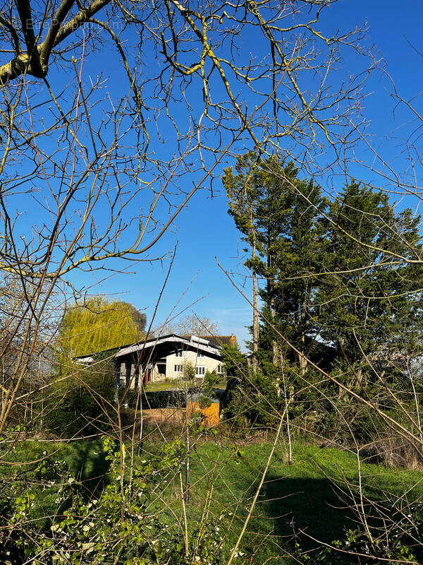 Maison à MIREBEAU