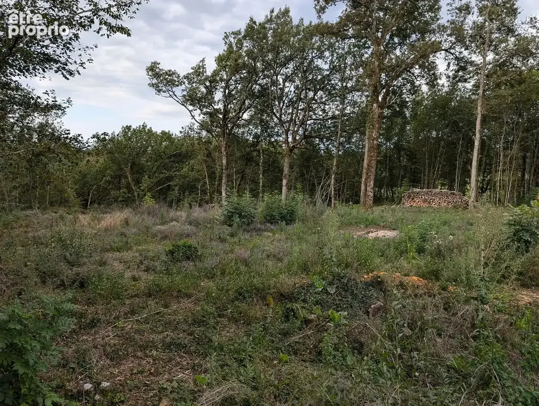 Terrain 2814 m² à La Cassagne  - photo 1